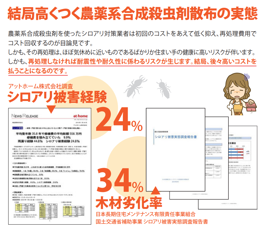 日本ボレイト