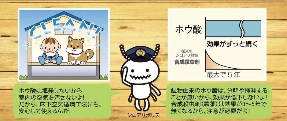 日本ボレイト