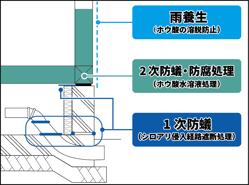 日本ボレイト