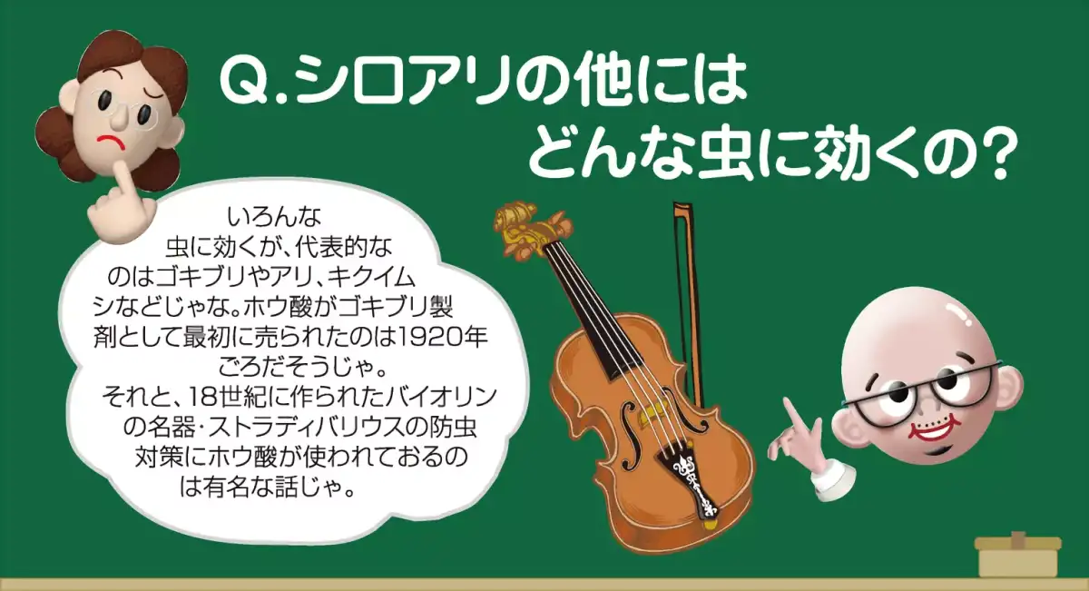 日本ボレイト