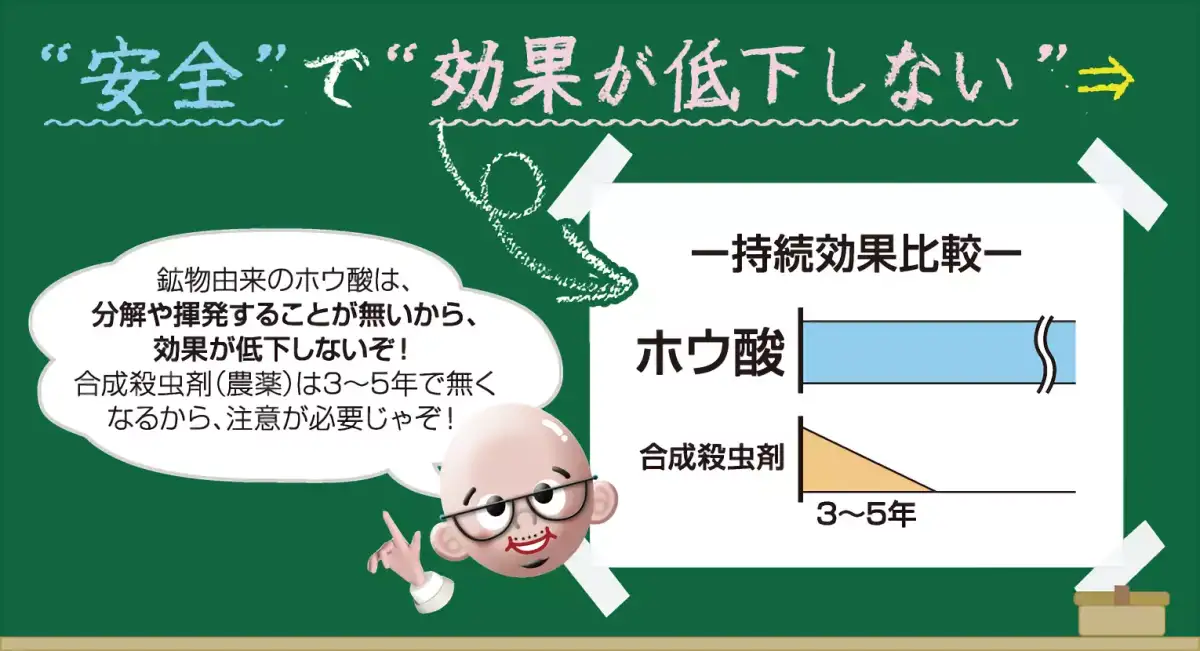 日本ボレイト