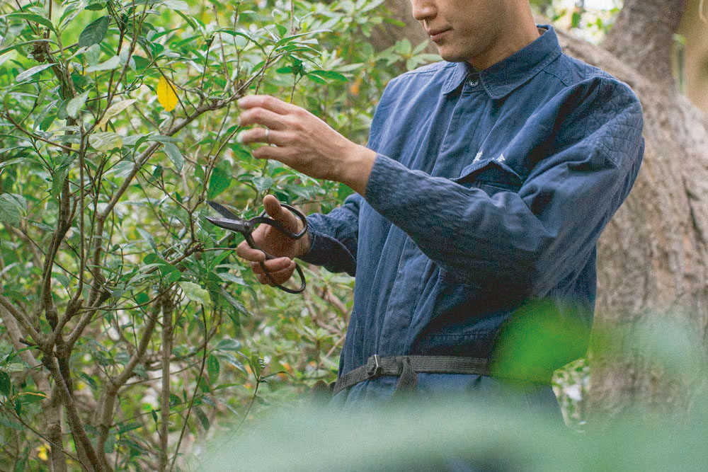 草土舎が大切にする、こだわりの仕事道具。その4